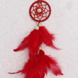 Nylon, Feather, Steel Dream Catcher-image-51
