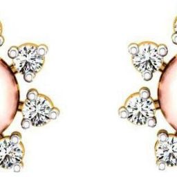 PC Chandra Jewellers Yellow Gold 14kt Stud Earring-image-91