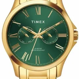 Analog Watch - For Men TW000X142-picture-6