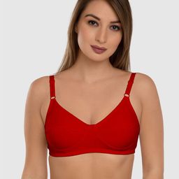 Daisy Dee Full Coverage Non Padded Super Support Pure Cotton Everyday Bra-All Day Comfort-21