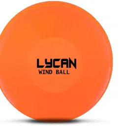 cricket wind ball pack of 1pc / Smooth Cricket Synthetic Ball-image-45