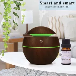 trendygoodie Humidifier For Room Moisture, Aroma Diffuser for Home, room Diffuser-46