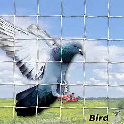essoti UV Bird Net Size-(6x10FT)/15 PLY with Attached Corner Ropes & Installation Kit Insect Net image 2