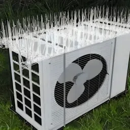 Bird Spike-20