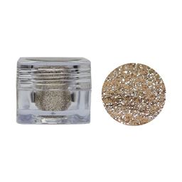 Veoni BELLE HD Holographic Glitter Pigment Loose Powder Eyeshadow - Champagne Gold 08-image-96