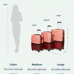 ZOUK Raahi Printed Hard Suitcase Trolley Bags image 4