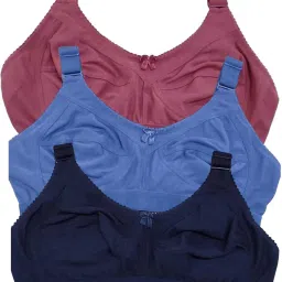 Pack of 3 Women T-Shirt Non Padded Bra-image-18