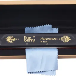 R-2201 22 Holes Tremolo Advanced Harmonica Mouth Organ Key of C with Cover-image-35