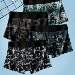 Pack of 4 Men Trunk-picture-4