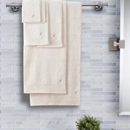Beige Solid 550 GSM Cotton 6 Pieces Towel Set by Maspar-picture-40