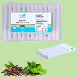 Quit Nicotine Aid, Premium Menthol Flavor, 1 Packs (25 Smokes) Smoking Cessations-image-44
