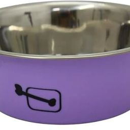 Stainless Steel Pet Bowl-image-29