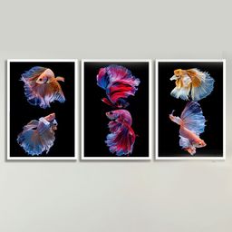 SAF Black & Pink 3-Pieces Wildlife Fish Printed Framed Wall Art-image-14