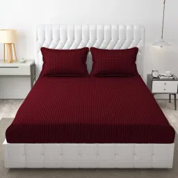 310 TC Satin King Striped Fitted (Elastic) Bedsheet-image-59
