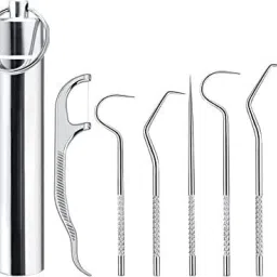 Tooth Cleaning Kit Portable Metal Toothpicks Reusable Stainless Steel Holder-19