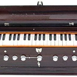 sg musical SGM-VF4 Poplar Wood Indian Student 3.25 Octave Hand Pumped Harmonium-picture-11
