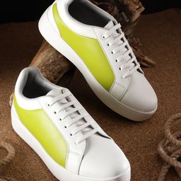 The Roadster Lifestyle Co. Women Round-Toe Colourblocked Sneakers-image-81