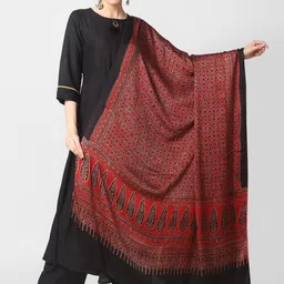 Dupatta Bazaar Maroon & Black Ethnic Motifs Block Printed Dupatta-image-82