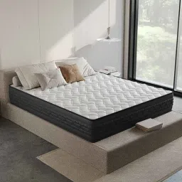 wakeup india Dreamsway Pocketed Spring 6 inch Mattress Queen Size Mattress-picture-33