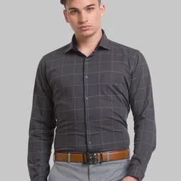 Park Avenue Men Grey Slim Fit Windowpane Checks Opaque Checked Formal Shirt-image-18