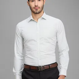 Park Avenue Checked Slim Fit Cotton Opaque Formal Shirt-picture-31