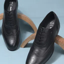 Hush Puppies Men Textured Round Toe Leather Formal Oxfords-image-88