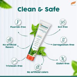 Himalaya Botanique Simply Mint Complete Care Toothpaste - 150g image 3