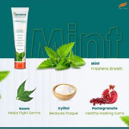 Himalaya Botanique Simply Mint Complete Care Toothpaste - 150g image 4