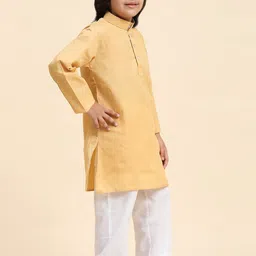 Pro-Ethic STYLE DEVELOPER Boys Kurta with Pyjamas-5