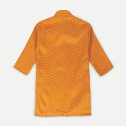 Pro-Ethic STYLE DEVELOPER Boys Orange Regular Kurta with Pyjamas image 2