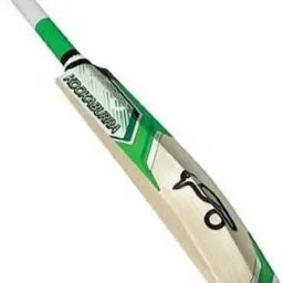 Bat Poplar Willow Cricket Bat For 15+ Yrs-image-19