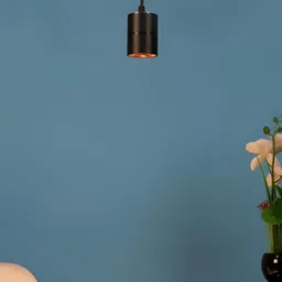 ELIANTE Black Cylinder Shaped Contemporary Iron Ceiling Lamp With Adjustable Cord-image-40