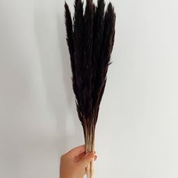 Artecasa Dried Flower Mini Black Pampas-image-84