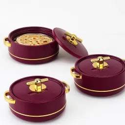 Deluxe Decor Plastic Inner Stainless Steel Insulated Casserole Pack of 3 Thermoware Casserole Set-image-81