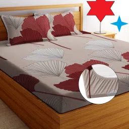 244 TC Cotton King Printed Fitted (Elastic) Bedsheet-picture-16