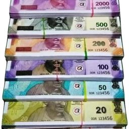 (33 Each x 7=231 Nakli Note) Playing Indian Currency Notes for Fun Paper note Gag Toy-6