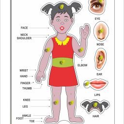 PART OF BODY_GIRL-11