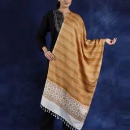 Women Stripes Stole-image-3