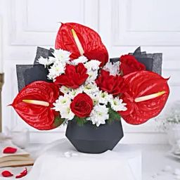 Timeless Red Rose & Anthurium Elegance-picture-12
