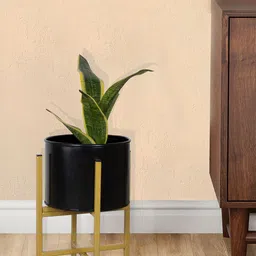 Homesake Black & Gold-Toned Metal Planter Pot with Stand-19