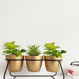 ecofynd Black 3 Pieces Metal Planters With Stand-15