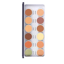 C2P PROFESSIONAL MAKEUP Dermashield Must Have 12 in 1 Color Corrector and Foundation - 42g-7
