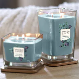 YANKEE CANDLE Blue Dark Berries Scented Candles-20