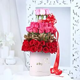 Radiant Love Melange-image-72