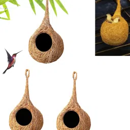 safest round organic bird nest pack of 2 with hooks 2 Bird House-9