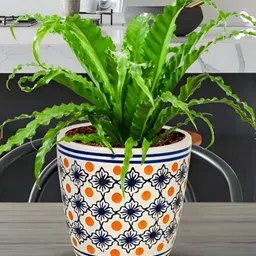 LASAKI Assorted Ceramic Round Planter-image-11