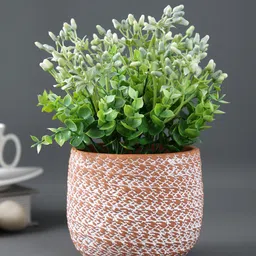 TAYHAA Rust Orange & White Textured Ceramic Planter-3