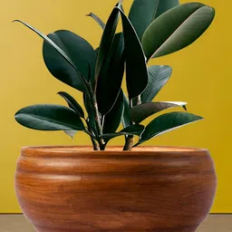 LASAKI Brown Bowl Shape Ceramic Planter-image-48