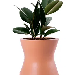 LASAKI Brown Ceramic Planter-image-55
