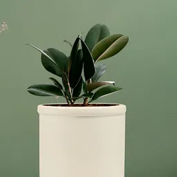 LASAKI White Ceramic Planter-image-70